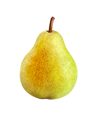 Груша