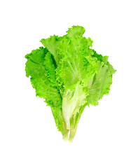 Салат