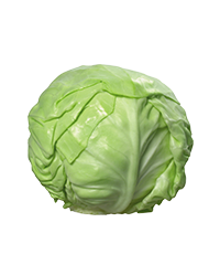 Капуста